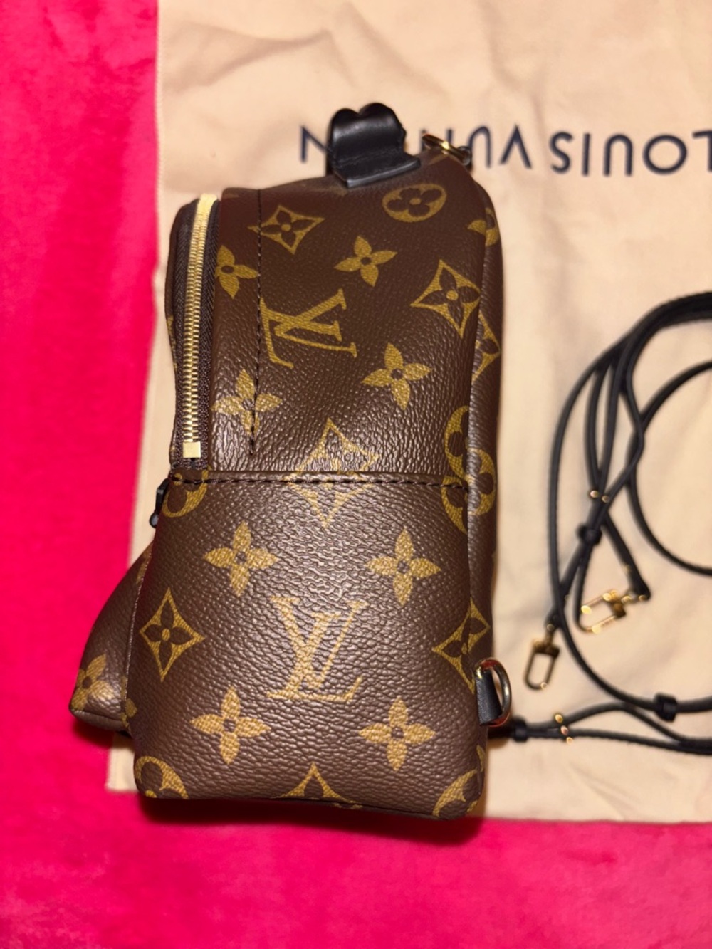 Louis Vuitton Monogram palm springs mini Backpack in Brown with Gold Hardware - Picture 6 of 13